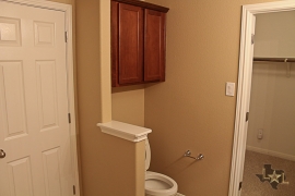 hutto-master-bathroom-in-home-for-sale
