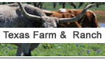 Texas Farm and Ranch properties for sale